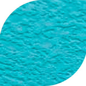 liner passion bleu france